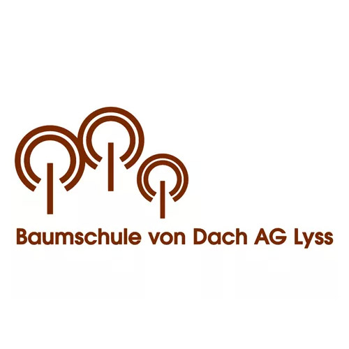 Baumschule_Von_Dach.jpg